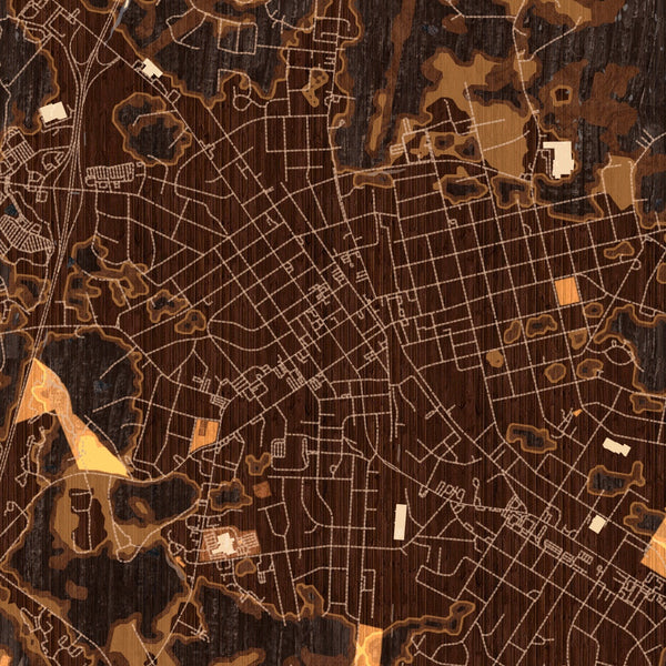 Sanford North Carolina Map Print in Ember Style Zoomed In Close Up Showing Details