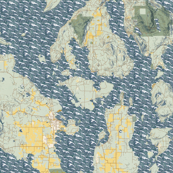 San Juan Islands Washington Map Print in Woodblock Style Zoomed In Close Up Showing Details