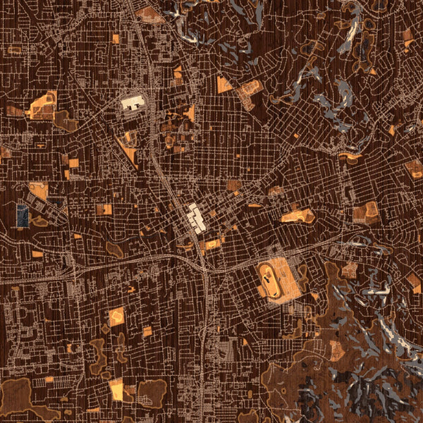 Santa Rosa - California Map Print in Ember