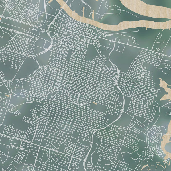 Savannah Georgia Map Print in Afternoon Style Zoomed In Close Up Showing Details