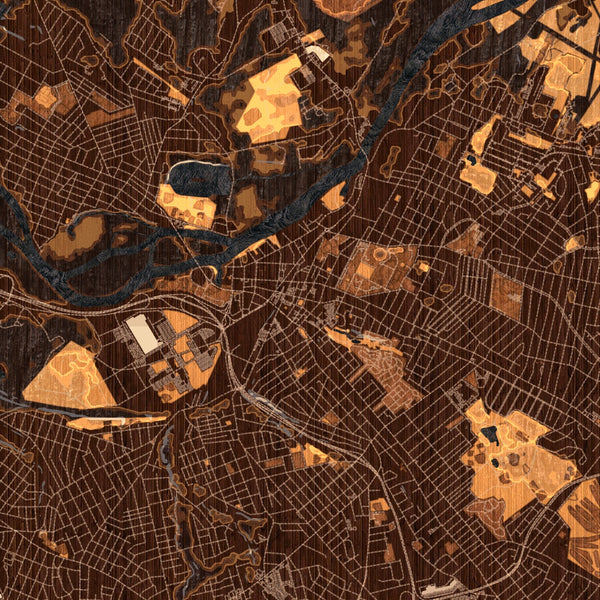 Schenectady - New York Map Print in Ember