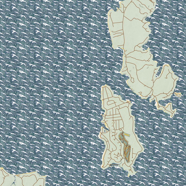 Sebago Lake Maine Map Print in Woodblock Style Zoomed In Close Up Showing Details