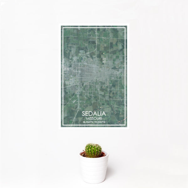12x18 Sedalia Missouri Map Print Portrait Orientation in Afternoon Style With Small Cactus Plant in White Planter
