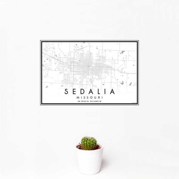 12x18 Sedalia Missouri Map Print Landscape Orientation in Classic Style With Small Cactus Plant in White Planter
