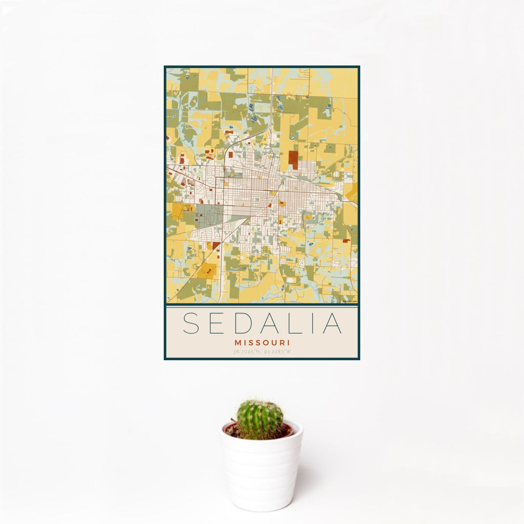 12x18 Sedalia Missouri Map Print Portrait Orientation in Woodblock Style With Small Cactus Plant in White Planter