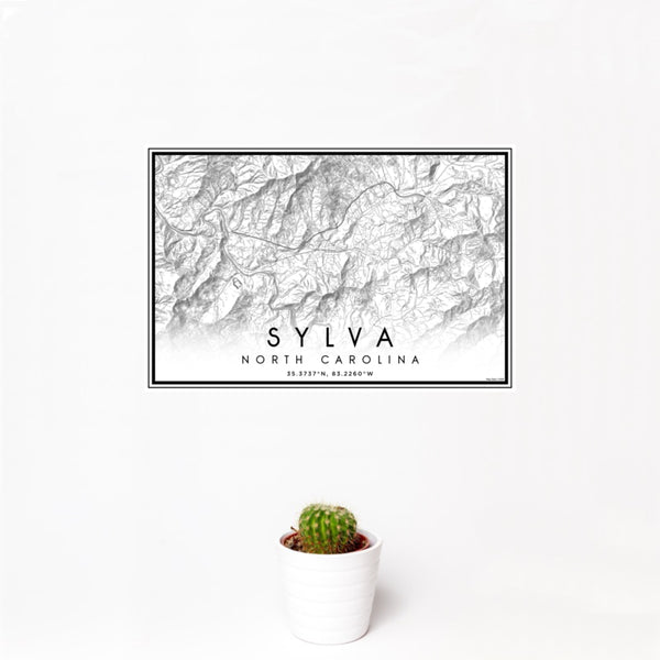 12x18 Sylva North Carolina Map Print Landscape Orientation in Classic Style With Small Cactus Plant in White Planter