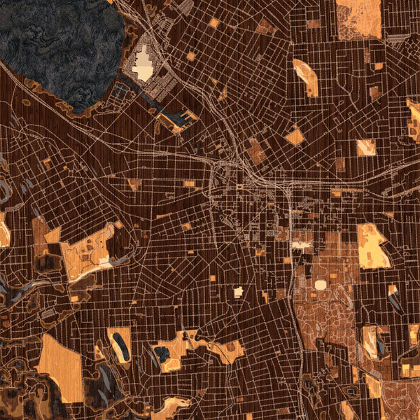 Syracuse - New York Map Print in Ember