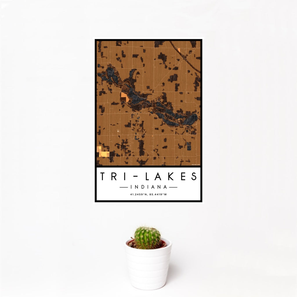 12x18 Tri-Lakes Indiana Map Print Portrait Orientation in Ember Style With Small Cactus Plant in White Planter