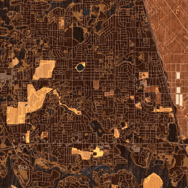 Warner Robins - Georgia Map Print in Ember