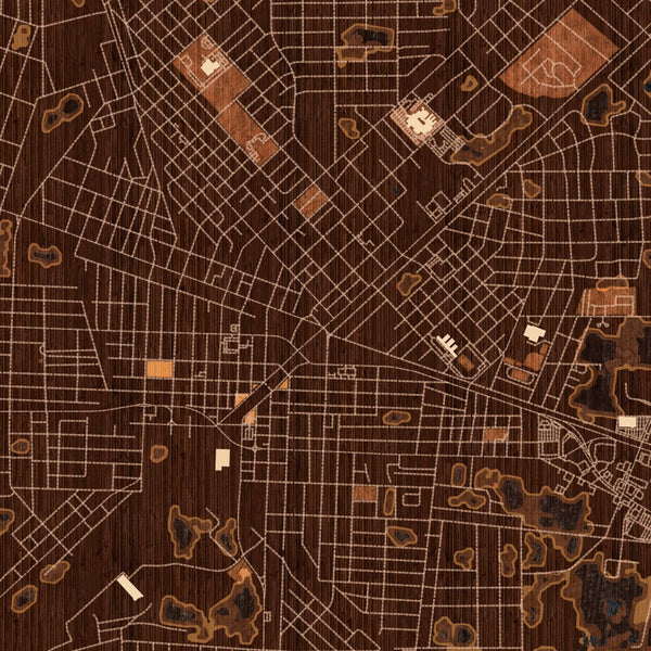 Waycross Georgia Map Print in Ember Style Zoomed In Close Up Showing Details