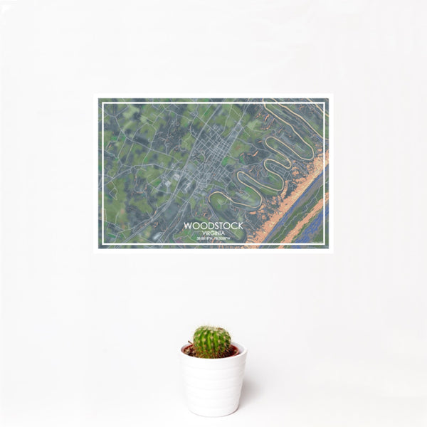 12x18 Woodstock Virginia Map Print Landscape Orientation in Afternoon Style With Small Cactus Plant in White Planter